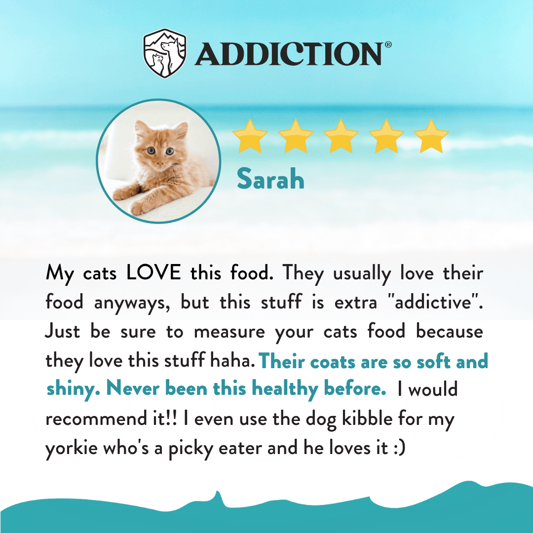 Salmon Bleu Dry Cat Food 1.8kg, 4.5kg