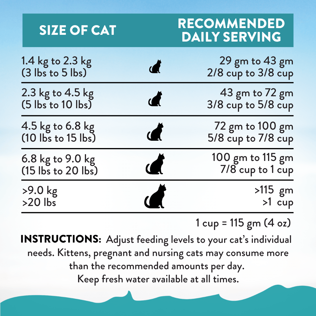 Salmon Bleu Dry Cat Food 1.8kg, 4.5kg