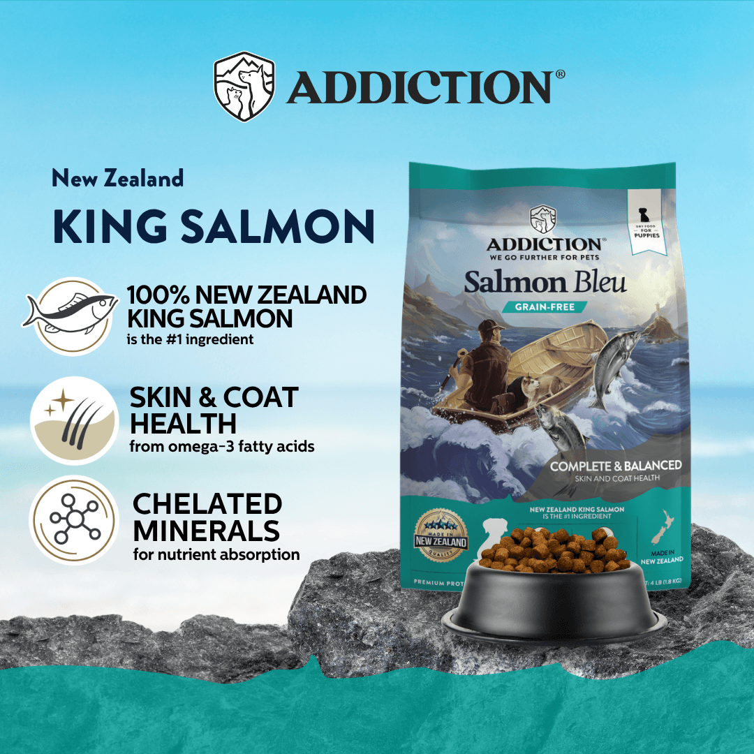 Salmon Bleu Puppy Dry Dog Food 1.8kg, 9kg