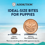 Salmon Bleu Puppy Dry Dog Food 1.8kg, 9kg