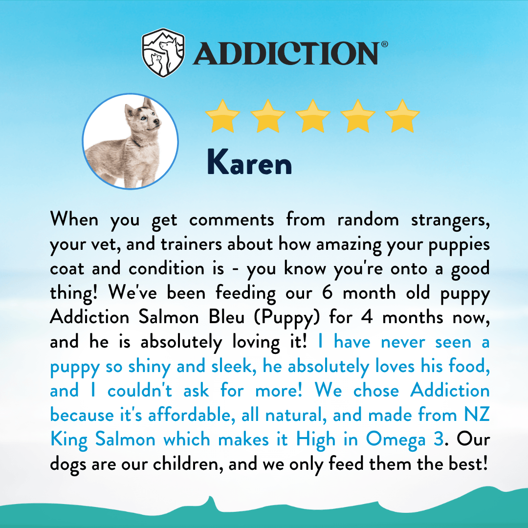 Salmon Bleu Puppy Dry Dog Food 1.8kg, 9kg