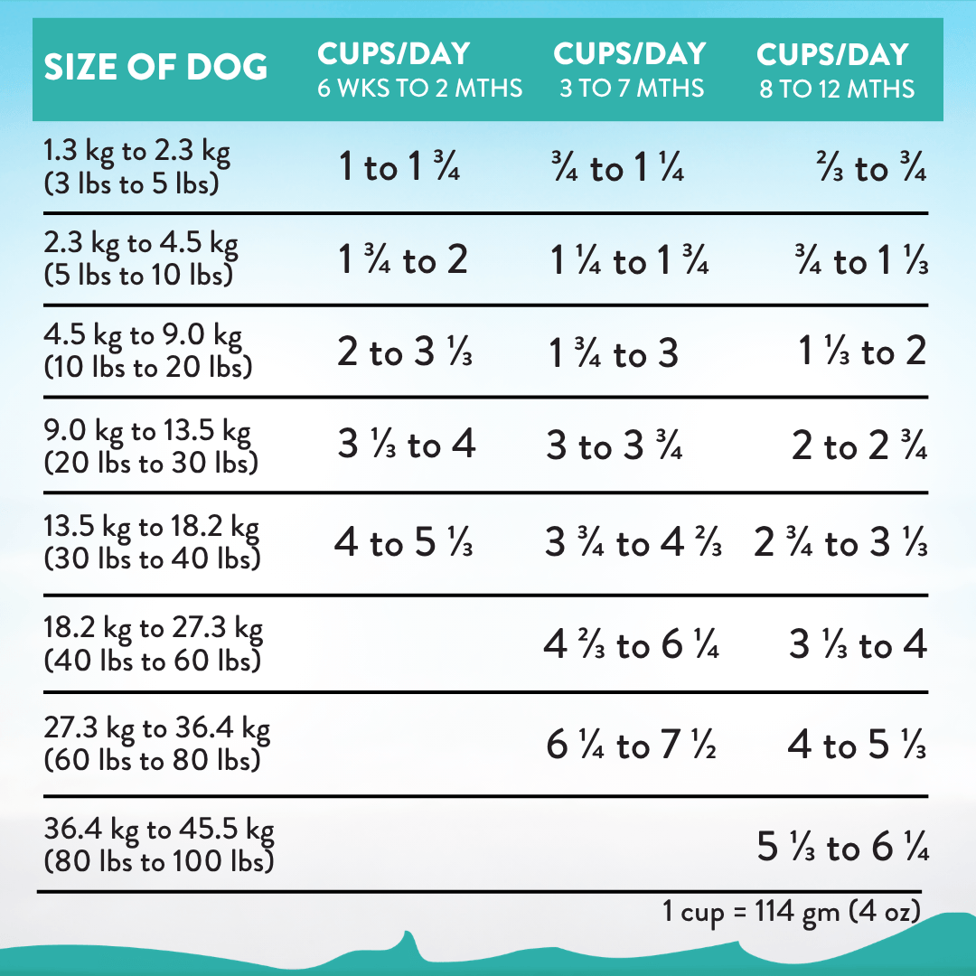 Salmon Bleu Puppy Dry Dog Food 1.8kg, 9kg