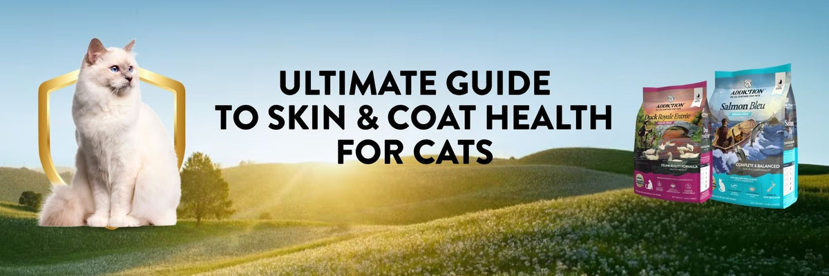 The Ultimate Guide to Skin & Coat Health for Cats – Addiction NZ