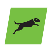Supporting Kiwi working dogs
