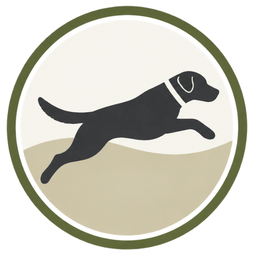 Adult Dog