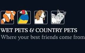 Wet Pets