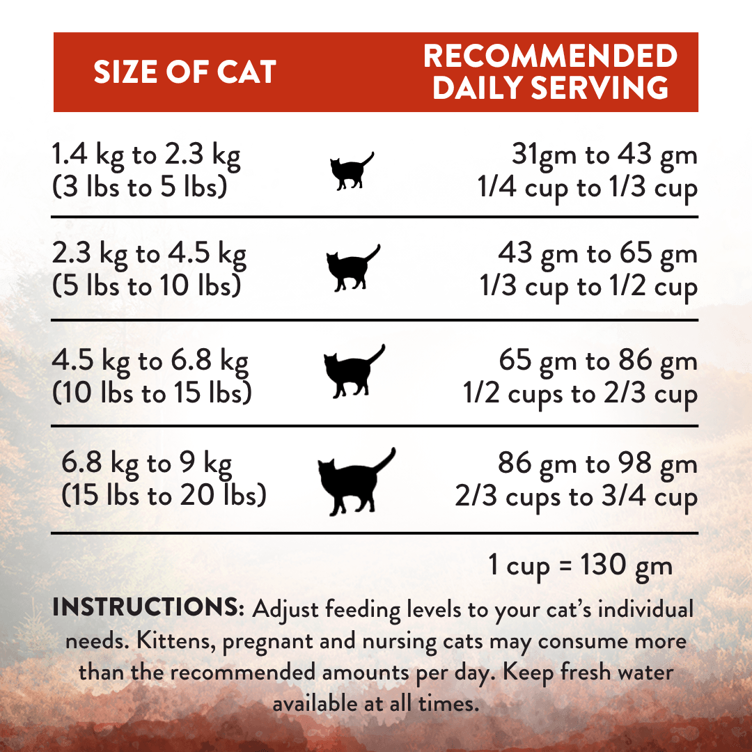 Wild Islands Forest Meat Premium Venison Dry Cat Food 1.8kg, 4.5kg